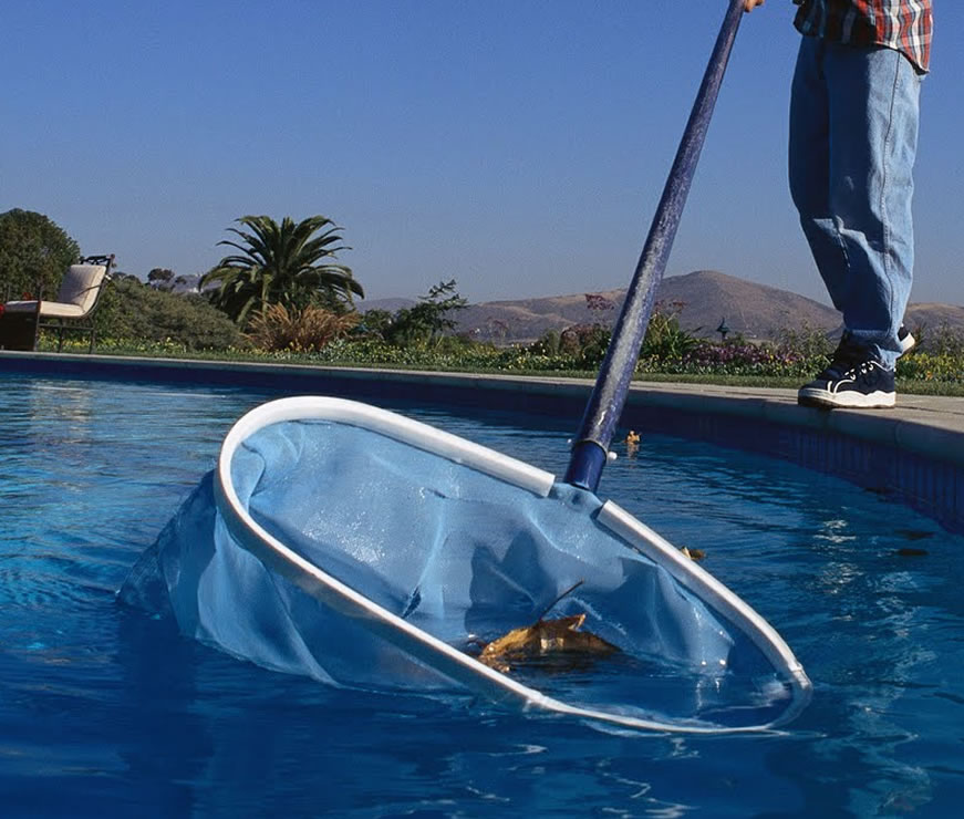 pool cleaning